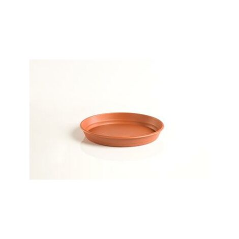 Plato Gardenia 10cm Para Maceta 14cm