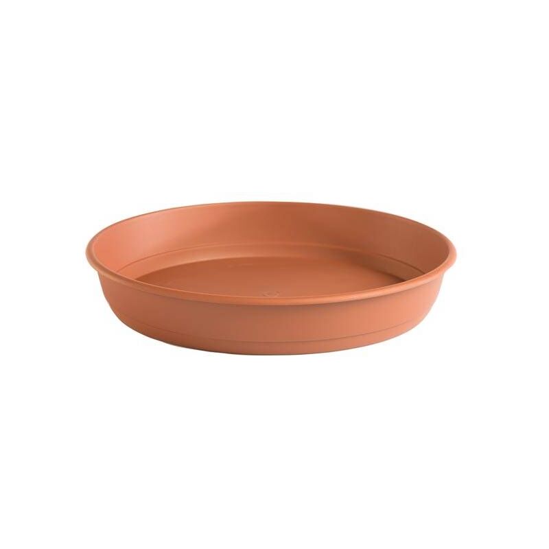 

Plato Gardenia 44 Centimetros Para Maceta 60Cm