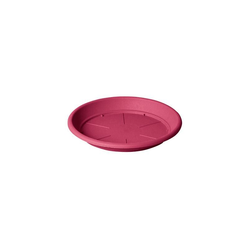 

Plato maceta Iniezione Fucsia 14 cm