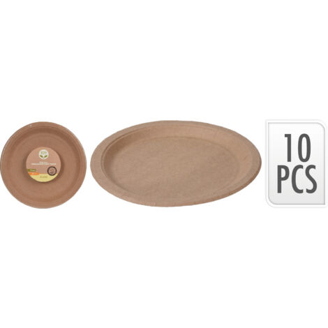 PLATOS CARTON 22 CM