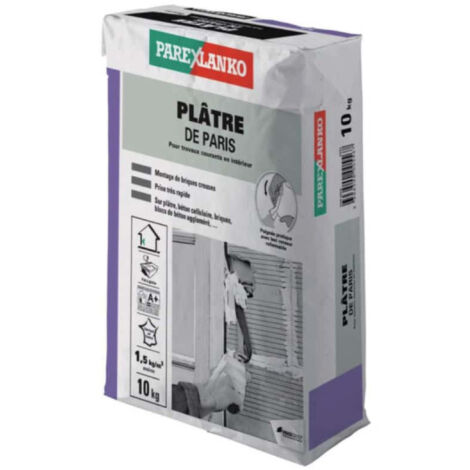 platre de paris 10 kg