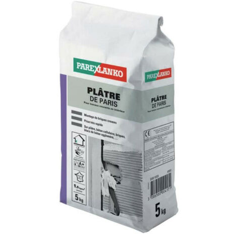 platre de paris 5 kg