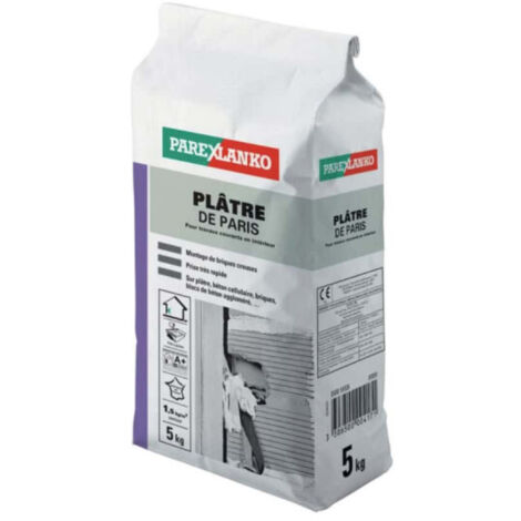 platre de paris 5 kg