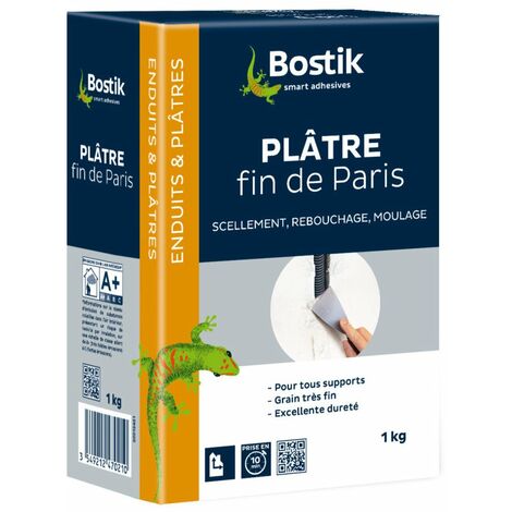 Platre fin de paris boite 1 kg