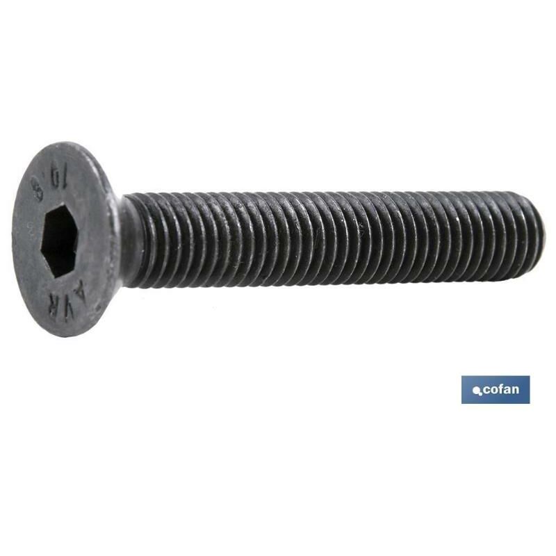 

PLIMPO din-7991 c-10.9 m-24 x 100 n caja 5 unid.