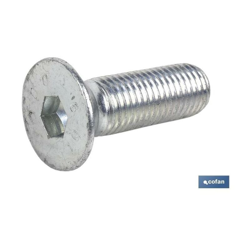 

Cofan - PLIMPO din-7991 inox a-2 m-10x30 caja 100 unid.