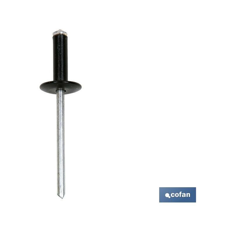 

PLIMPO remache de flor c. ancha negro 4.8x21mm. caja 250 unid.