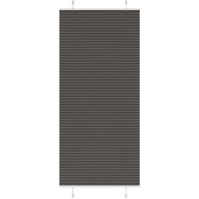 Plissee Schwarz 100x200 Cm Stoffbreite 99, 4 Cm Polyester Vidaxl
