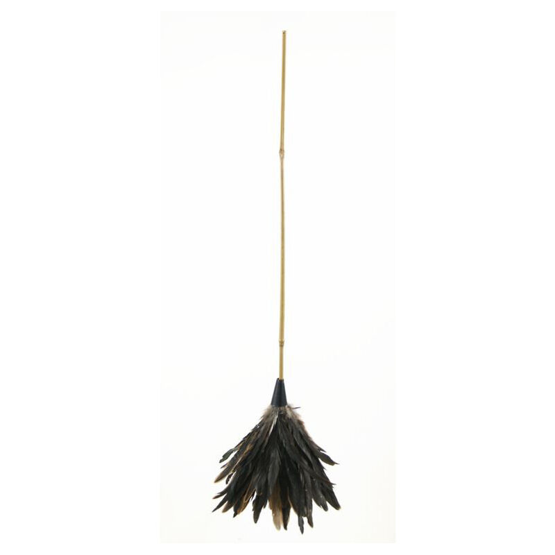 Plumeau Coq Naturel Jonc 70