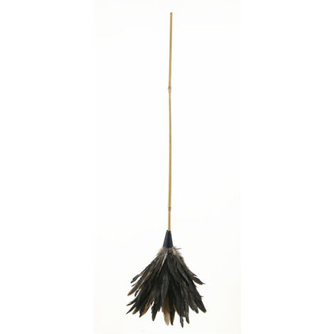Plumeau Coq Naturel Jonc 70