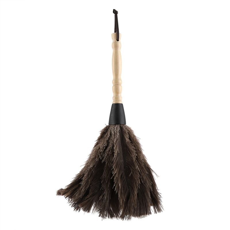 Plumeau Poussiere, Plumeau d'autruche Anti-Statique, Manche en Bois Plumeau, Lavable Plumes d'Autruche Naturelles pour Bureau, Salon, Bibliothèque,