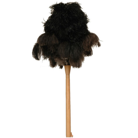 Plumeau Pro Plumes D'autruche Manche Bois 64 Cm - Thomas