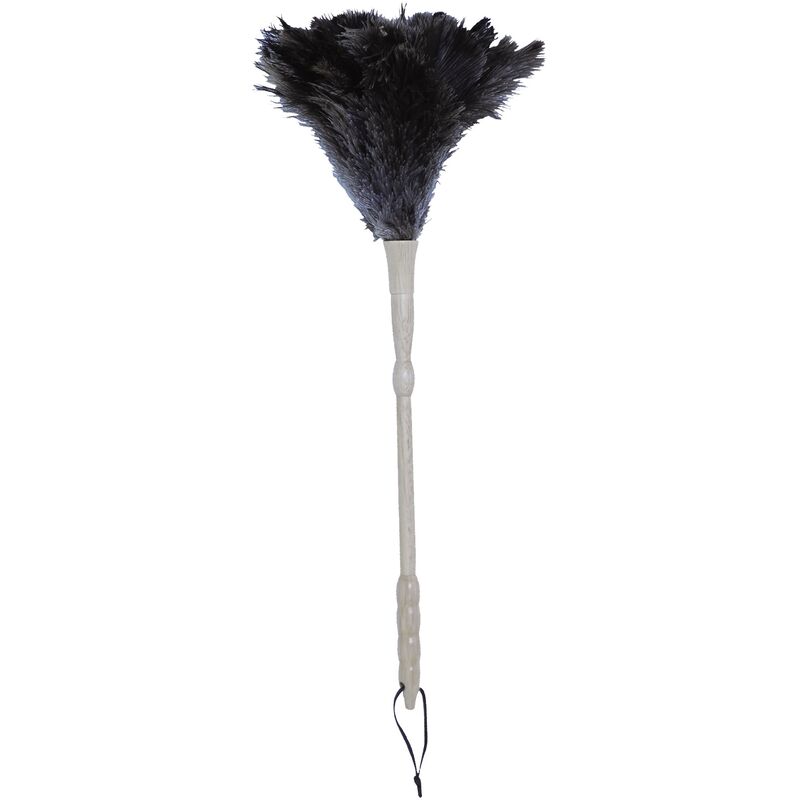 

Plumero Avestruz MSV, de Plumas de plástico