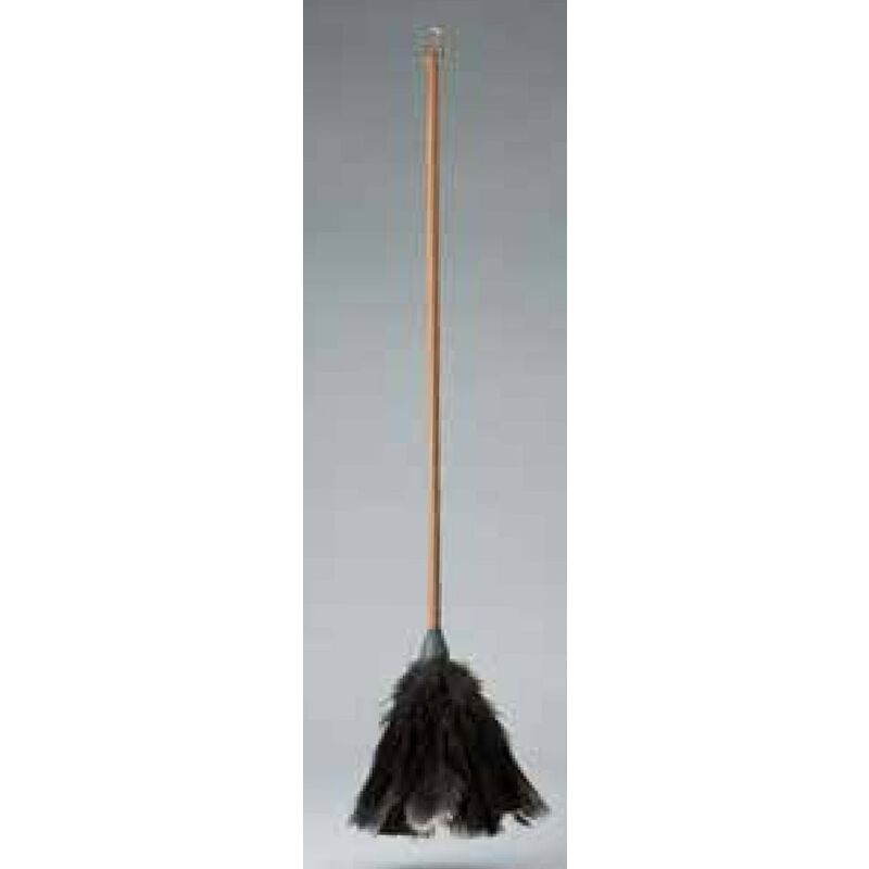 

Plumero Pluma Avestruz M/Madera Largo