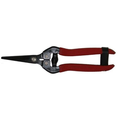 PLUVIA pluvia tijera citricos  7  175 mm hoja recta corta  plct07
