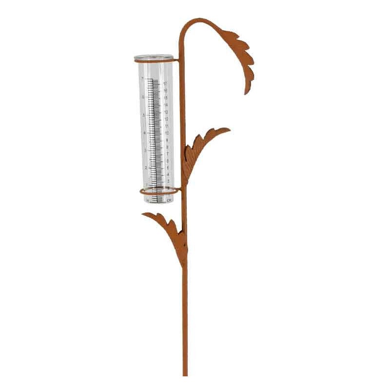 Pluviomètre jardin plante 17x6x100cm