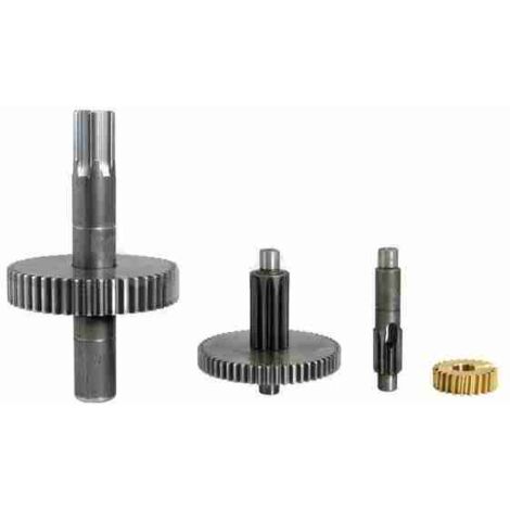 PMDKI2.4610 Ingranaggi HYPPO 7005 HY7005 220V Ricambio Originale NICE PMDKI2.4610