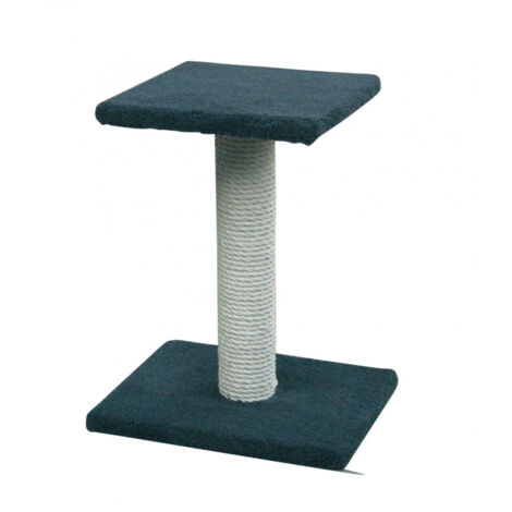 Pneus De Chat To Base Stable Bleu Maximum