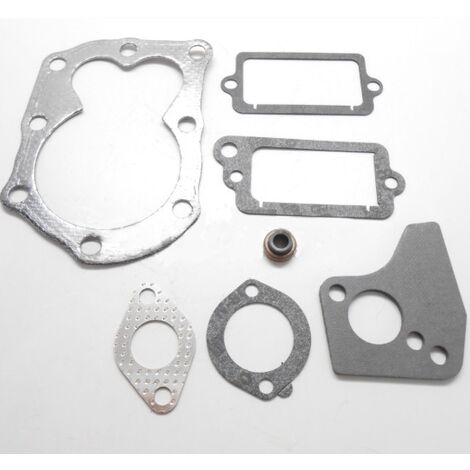 Pochette de joints Briggs et Stratton 699450 - 498694