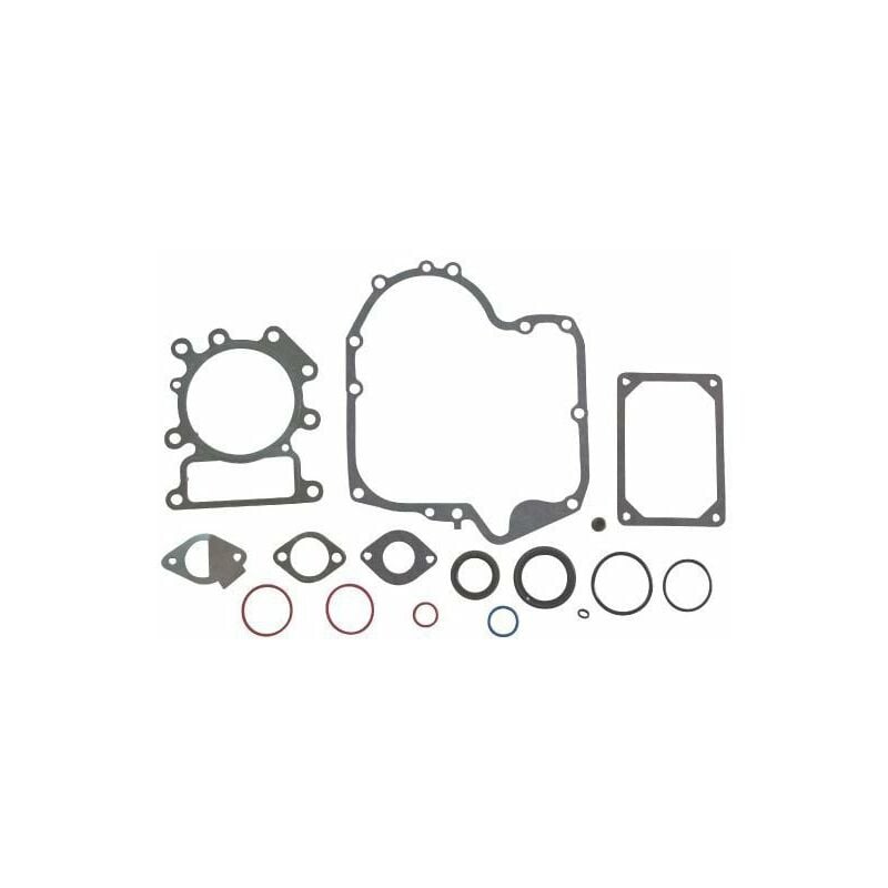 Pochette de joints Briggs et Stratton 796187 - 794150