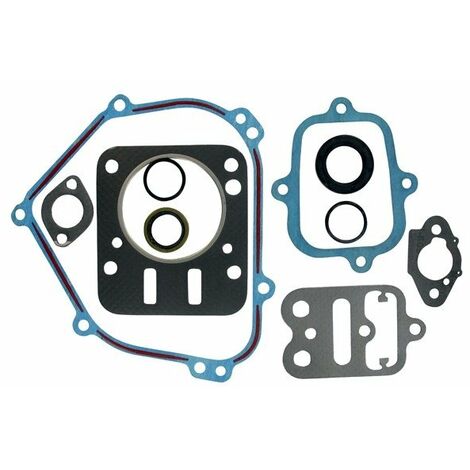 Pochette de joints BRIGGS ET STRATTON 798540