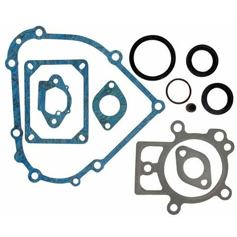 Pochette de joints BRIGGS ET STRATTON 798800