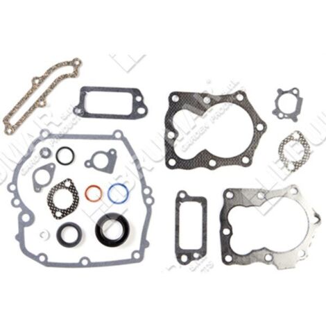 Pochette de joints pour moteurs BRIGGS & STRATTON 590508 (ex 794307 - 497316) - 020281