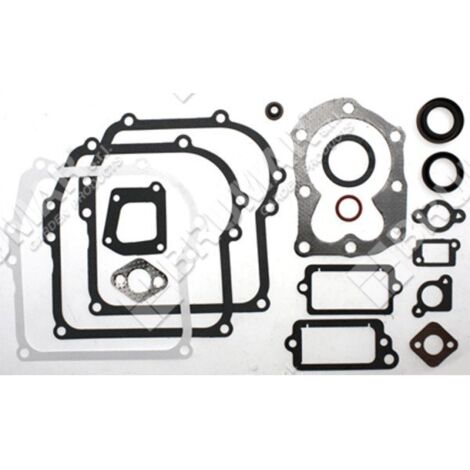 Pochette de joints pour moteurs BRIGGS & STRATTON 590777 (ex 794209 - 699933) - 020201