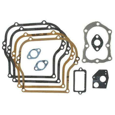Pochette joints motoculteur moteur Briggs & Stratton