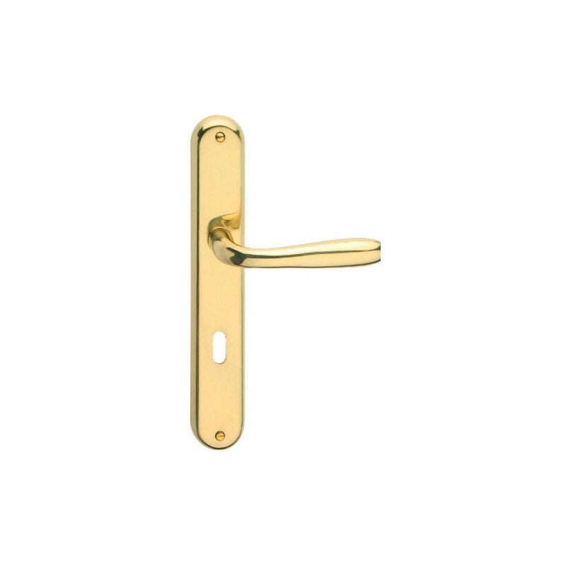 Forme - PoignA e sA rie Goccia avec plaque en alliage d&39or poli carrA de 8/90 mm