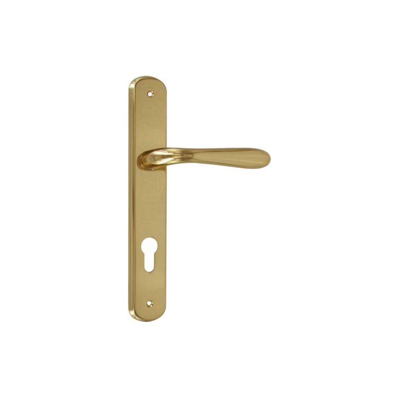 Forme - PoignA e sA rie Goccia avec plaque en alliage d&39or poli PoignA es carrA es 8 / fy