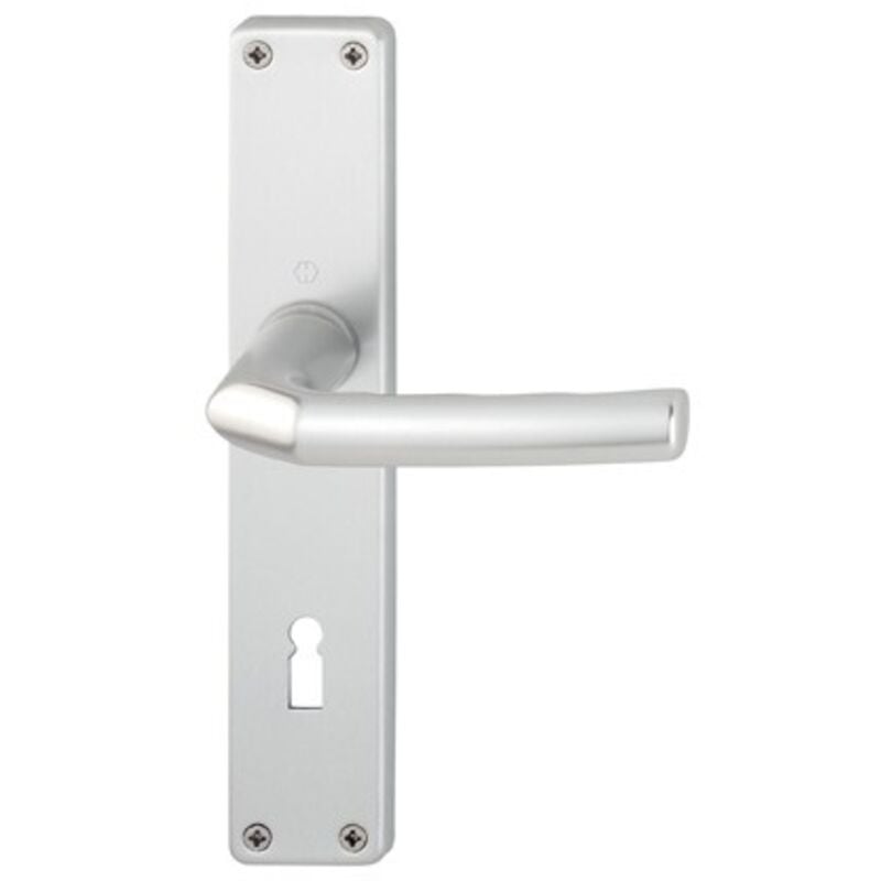 Hoppe - Poignée 1117/202SPGRT F4 8 PZ-72 27-47 9999