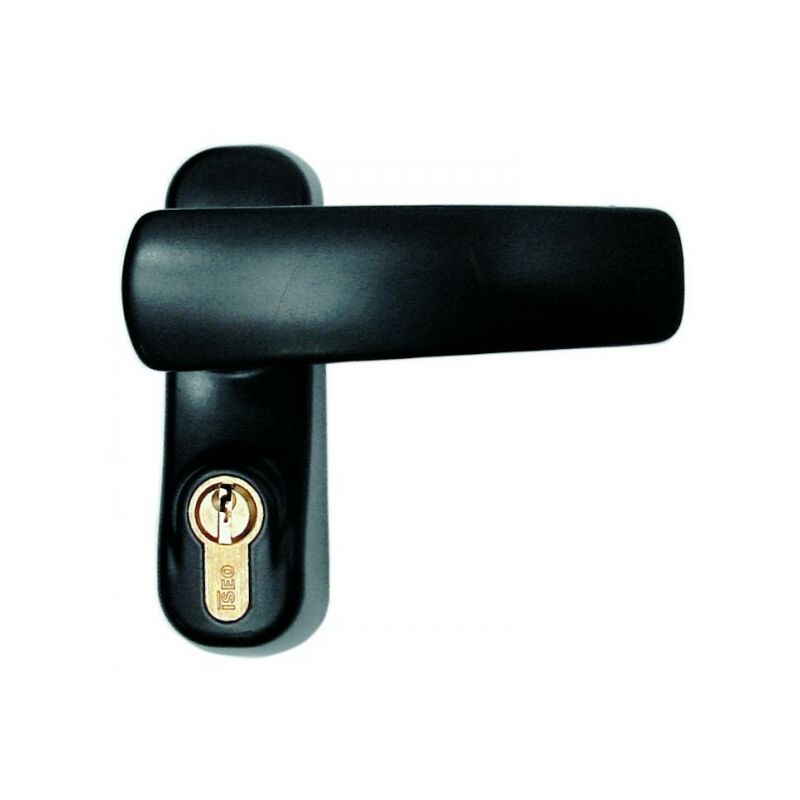 Poignée avec cylindre pour barre anti-panique iseo art.940.21.005 - Salon