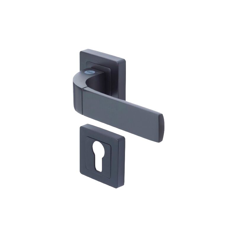 Vachette - Paire de poignées porte Bologna Noir Mat Yale - Rosaces fonction trou de cylindre - carré 7mm