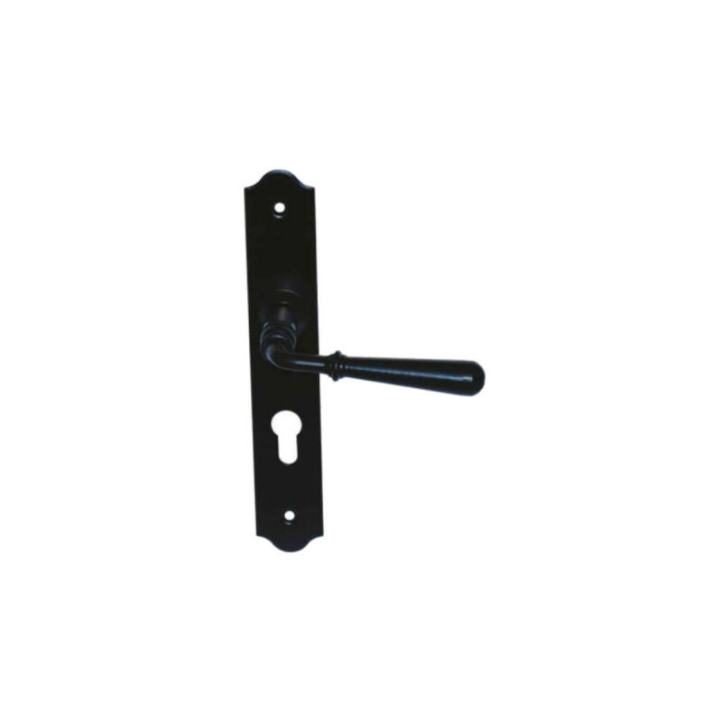Espace Bricolage - Poignée de porte sur plaque étroite à clé classique modèle Beynac - Fer noir