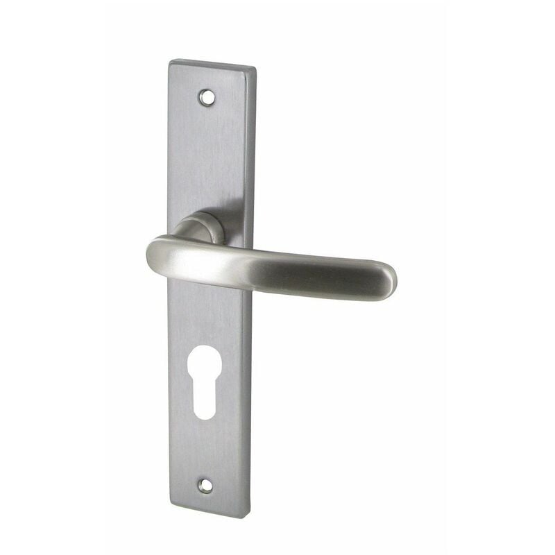 Dt 2000 - Poignée de porte zamak satinée biarritz clé i - cylindre - DT2000