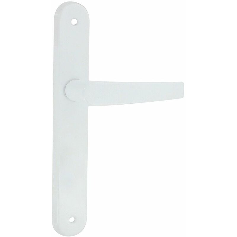 Dt 2000 - Poignée de porte aluminium époxy blanc avoriaz bec de cane - DT2000