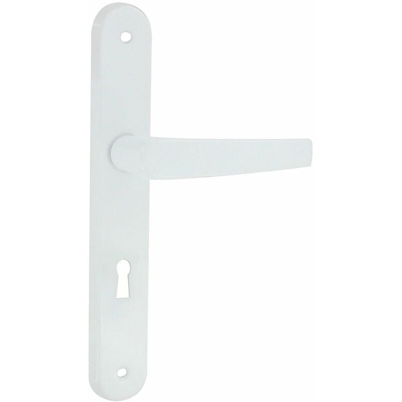 Dt 2000 - Poignée de porte aluminium époxy blanc avoriaz clé l -DT2000