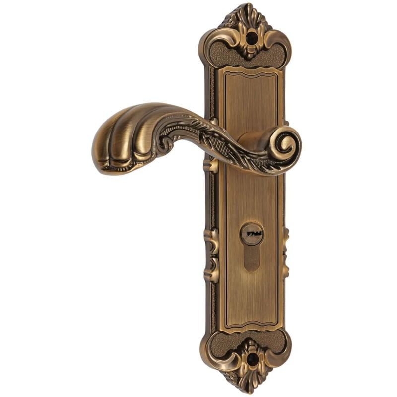Gojoy - Poignée de porte antique quincaillerie de porte avec serrure clé serrure de porte poignée de porte 222mm x 55mm poussoir ensemble poignée de