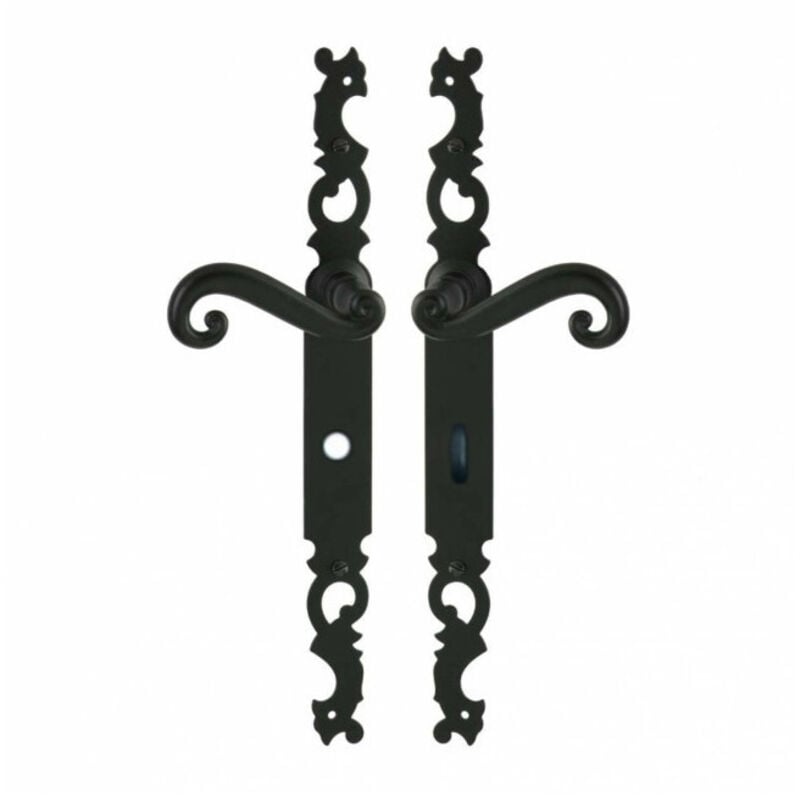 Ensemble sur plaque Coq en fer noir condamnation.