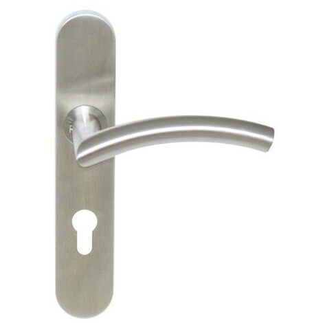 Poignée de porte GRAVES INOX - EUROWALE Argent Bec de cane