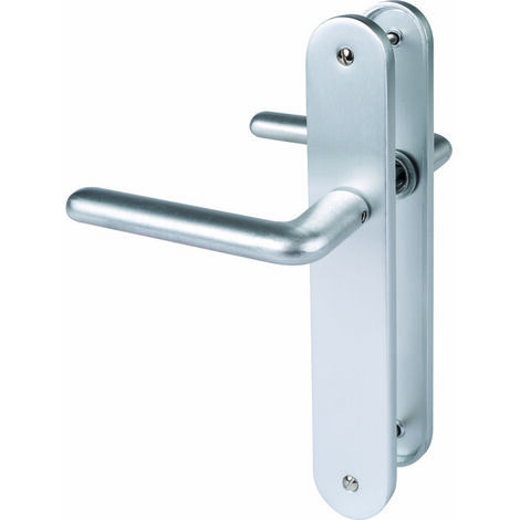Poignée de porte intérieure - New camelia sup - Eurowale - Gris argent - Bec de cane - 195 mm