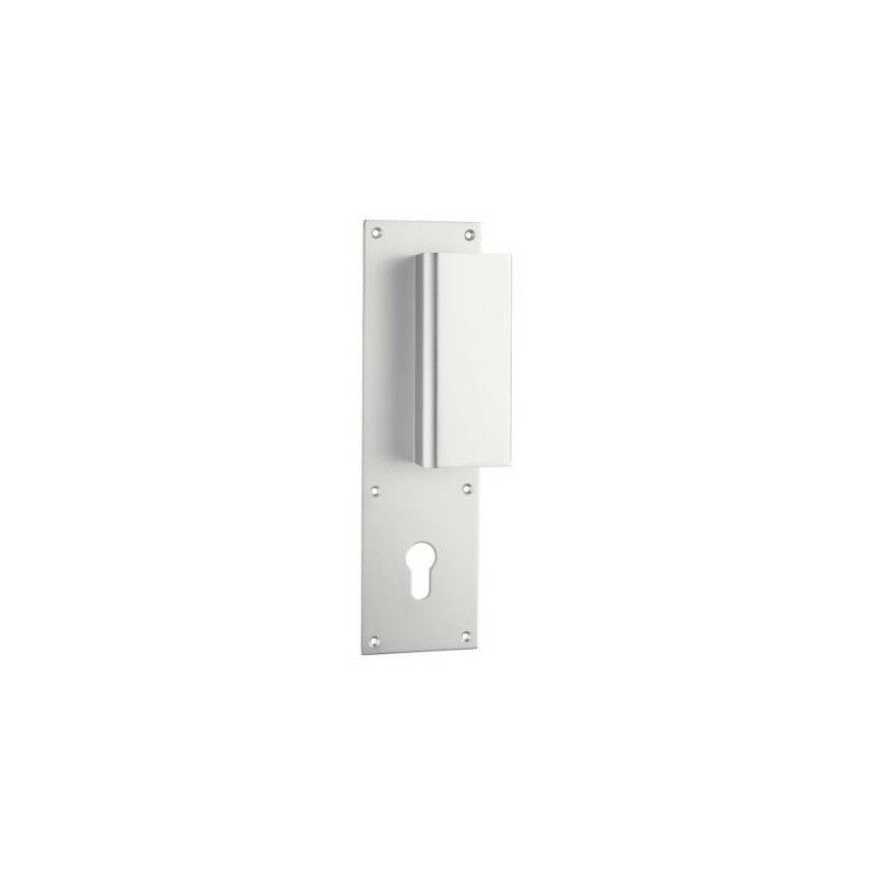 Assa Abloy - Poignée de porte palière aileron vachette bastille Argent Argent a visser Clé i