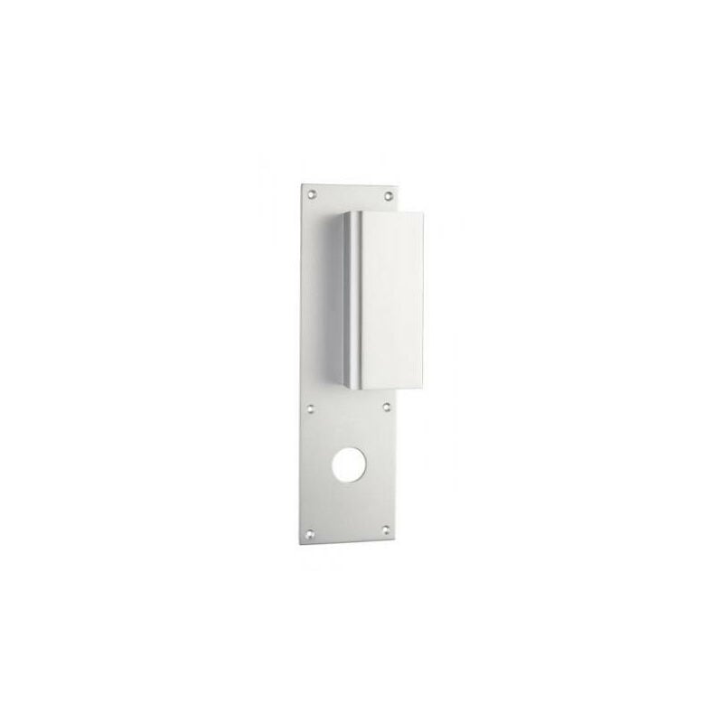 Assa Abloy - Poignée de porte palière aileron vachette bastille Argent Argent a visser ø 31 centré