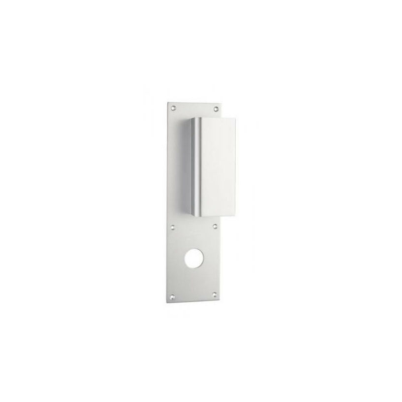 Assa Abloy - Poignée de porte palière aileron vachette bastille Argent Argent a visser Trou de 34 mm