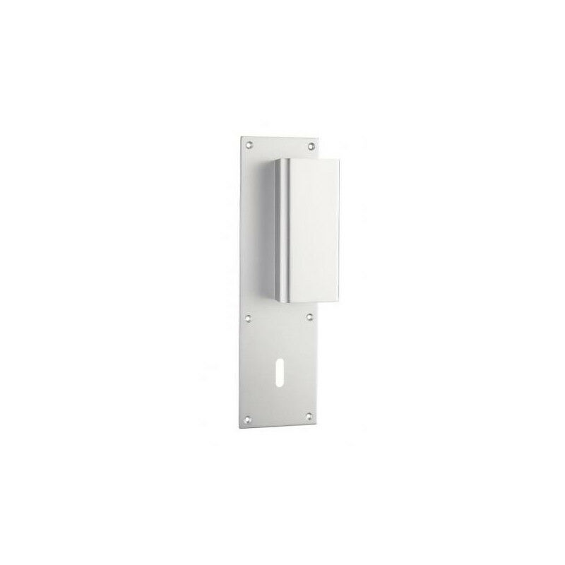 Assa Abloy - Poignée de porte palière aileron vachette bastille Argent Argent a visser Clé l