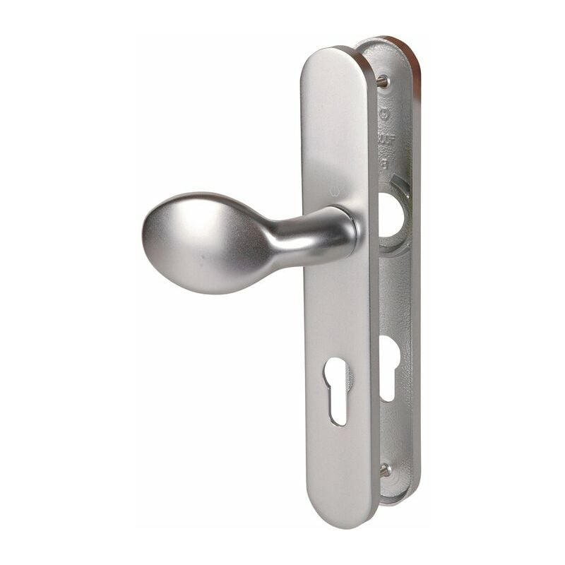 Poignée de porte palière - Verona Hoppe Et Cie - Gris argent - Clé i - 195 mm