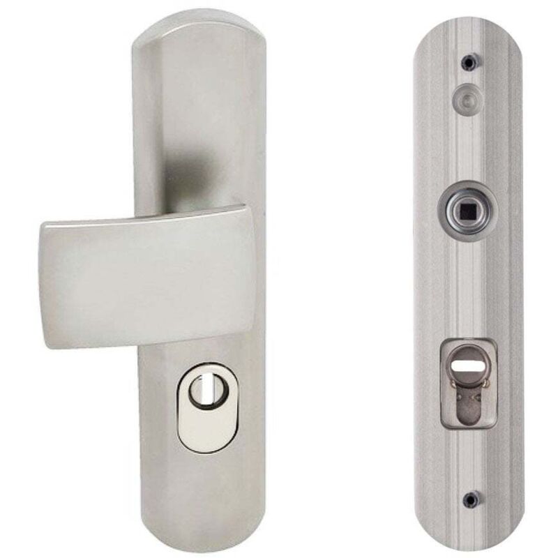 Vachette - Poignée de porte Palière blindée muze Platine 195 mm