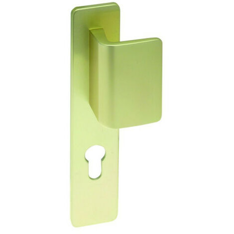 Poignée de porte palière Clé I 536 - ASSA ABLOY BEZAULT Champagne