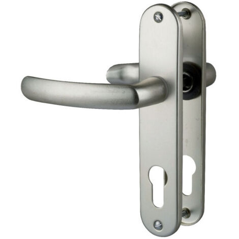Poignée de porte sur plaque ARGENT- Clé i - Budget - Vachette